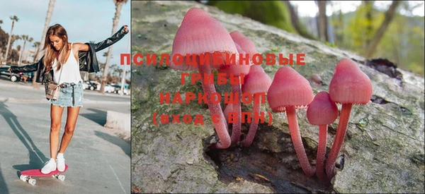 a pvp Мегион